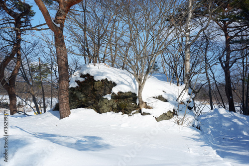 A view of a garden with snow stuck on it.