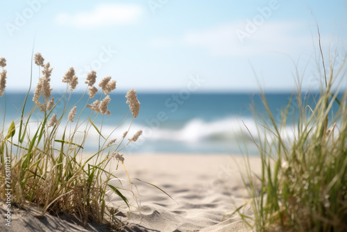 Fototapeta Naklejka Na Ścianę i Meble -  close up of a beach near some grass and sand, minimalist
