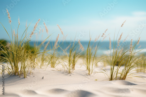 close up of a beach near some grass and sand  minimalist