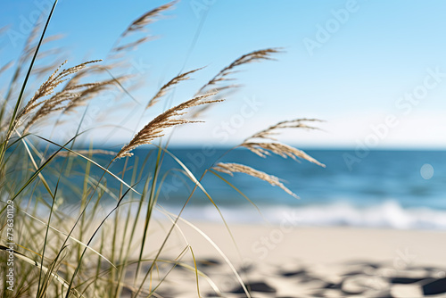 close up of a beach near some grass and sand  minimalist