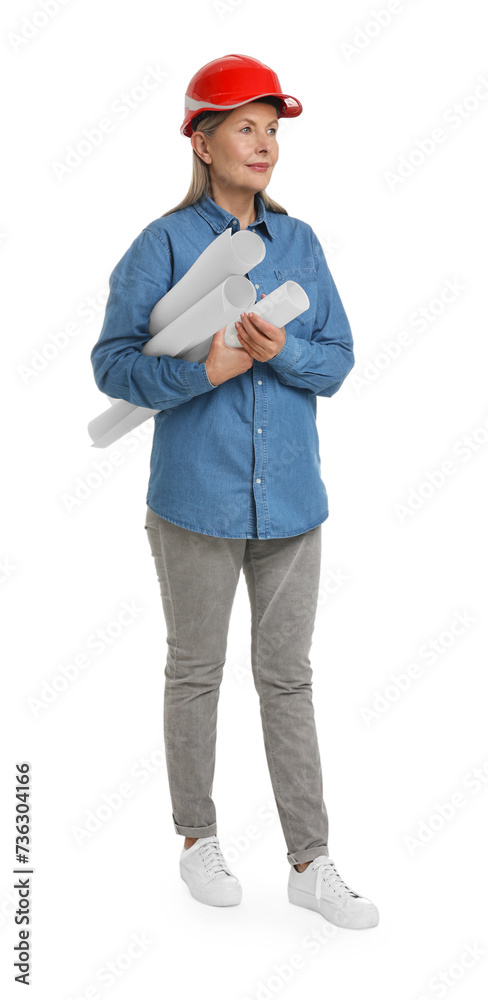 Architect in hard hat with drafts on white background Architect in hard hat with drafts on white background