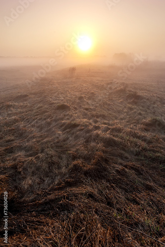 Early foggy mornings. Landscape with sunrise and fog creeping across the field.