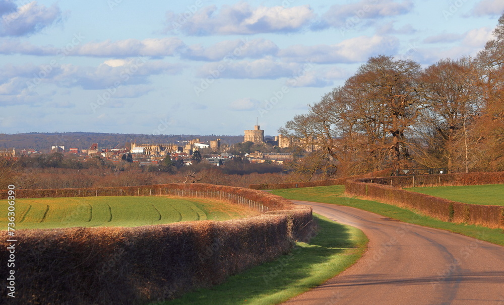 Landscape - Windsor Castle from the Great park