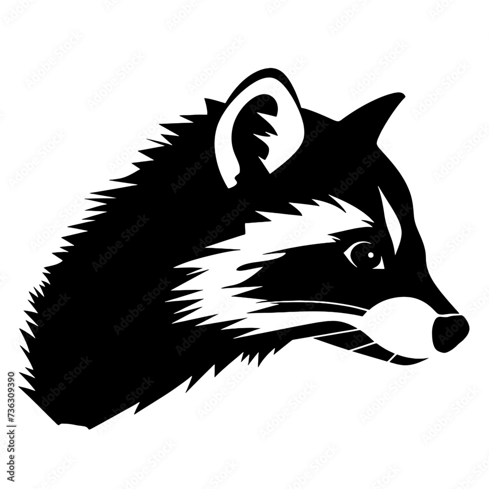 raccoon head raccoon head