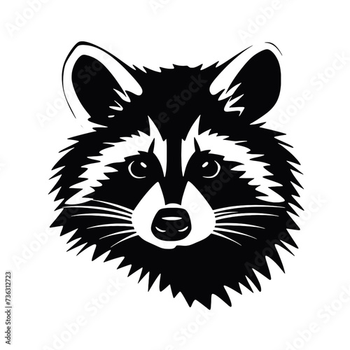 raccoon head 