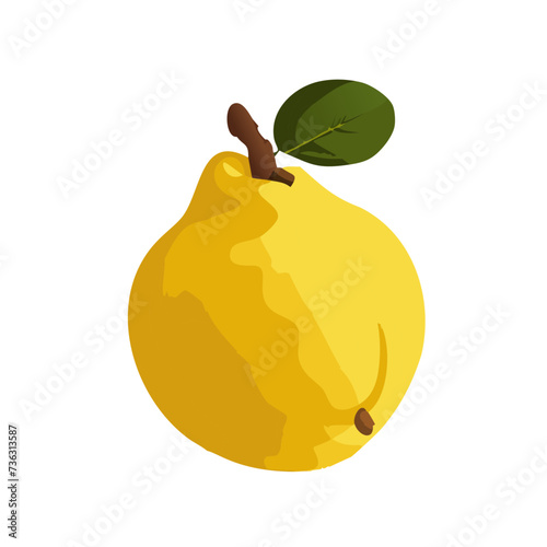 Fresh Quince Fruit Illustration