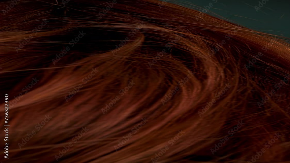 Slow motion long shiny brown hair tossed in the air Slow motion long shiny brown hair tossed in the air