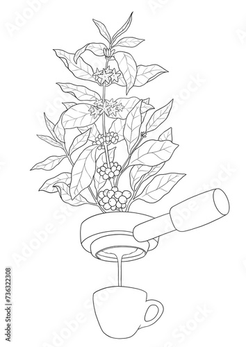 Portafilter espresso with coffee plant sketch illustration