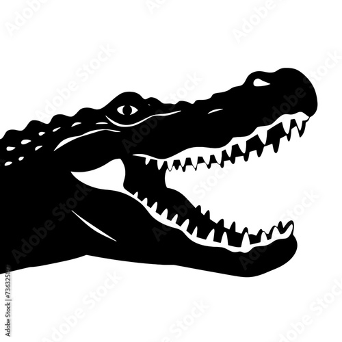 crocodile head isolated