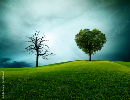 Klimawandel veranschaulicht an einem Kahlen Baum und einem grünen Baum photo