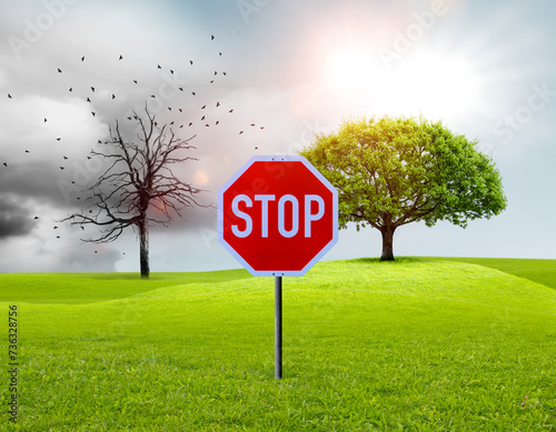 Klimawandel veranschaulicht an einem Kahlen Baum und einem grünen Baum