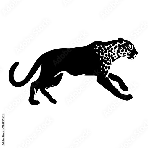silhouette of a leopard