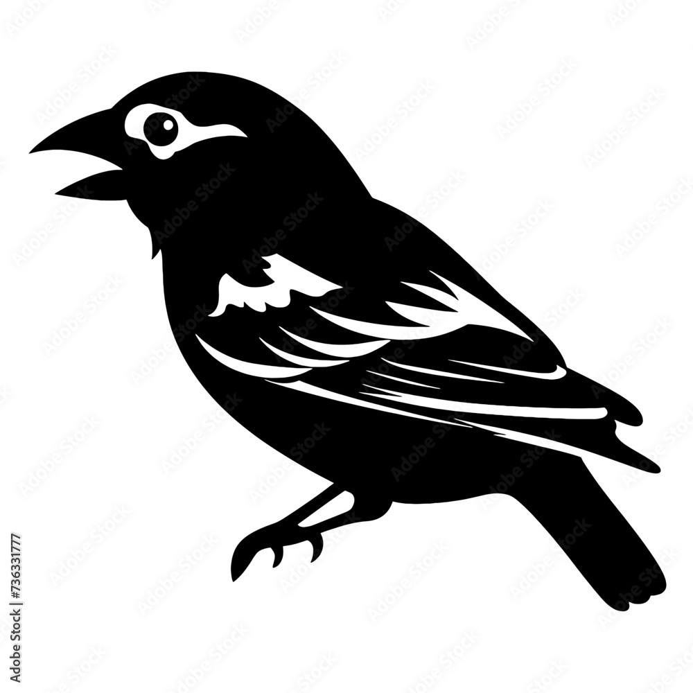 Fototapeta premium bird on a branch