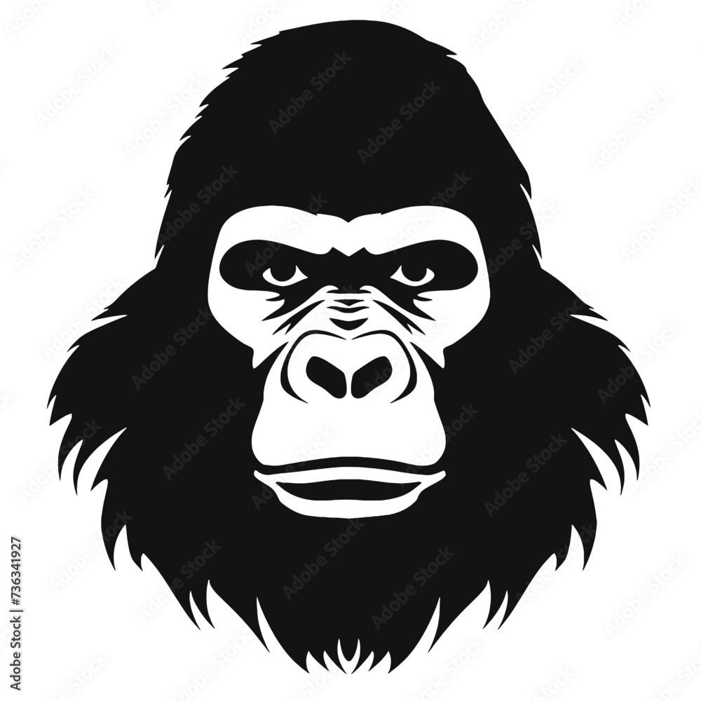 gorilla gorilla