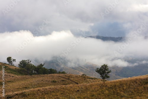 Photograph of low hanging white clouds in an agricultural valley in the Blue Mountains in New South Wales in Australia
