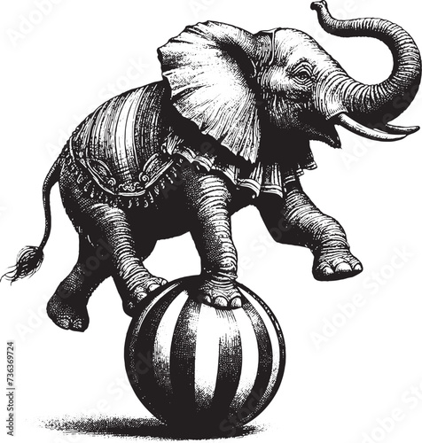 Vintage Circus Elephant Standing On The Ball