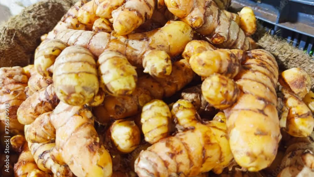 Fresh turmeric roots in a basket display at a market Asia street vegetable bazaar Fresh turmeric roots in a basket display at a market Asia street vegetable bazaar