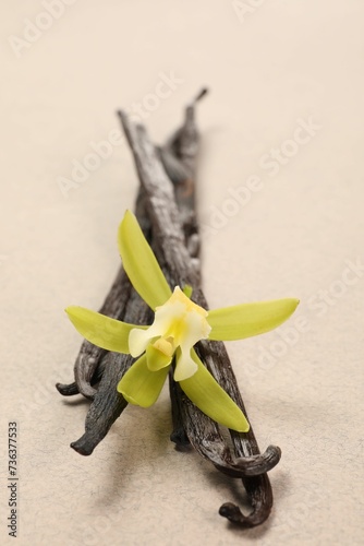 Vanilla pods and beautiful flower on beige background, closeup