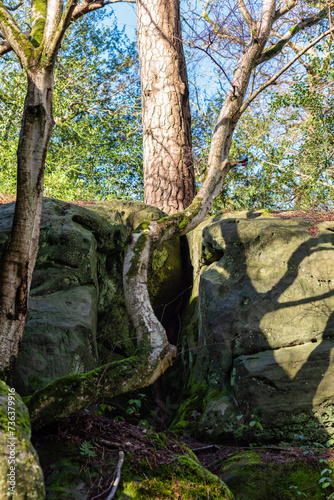 Eridge sandstone Rocks in East Sussex which are millions of years old near Royal Tunbridge Wells  England