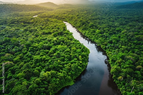 Majestic River Flowing Through a Verdant Forest, Aerial view of a winding river through a lush rainforest, AI Generated