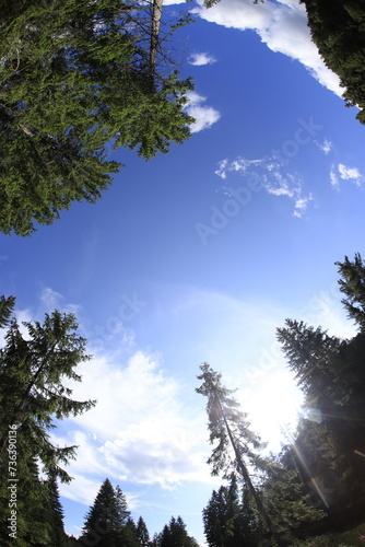 Tatra mountains in august, Slovakia photo