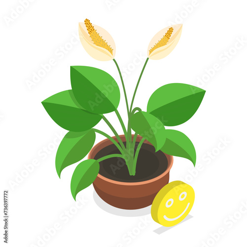 3D Isometric Flat Vector Illustration of Dying Plant, Phases a Flower Withering. Item 5