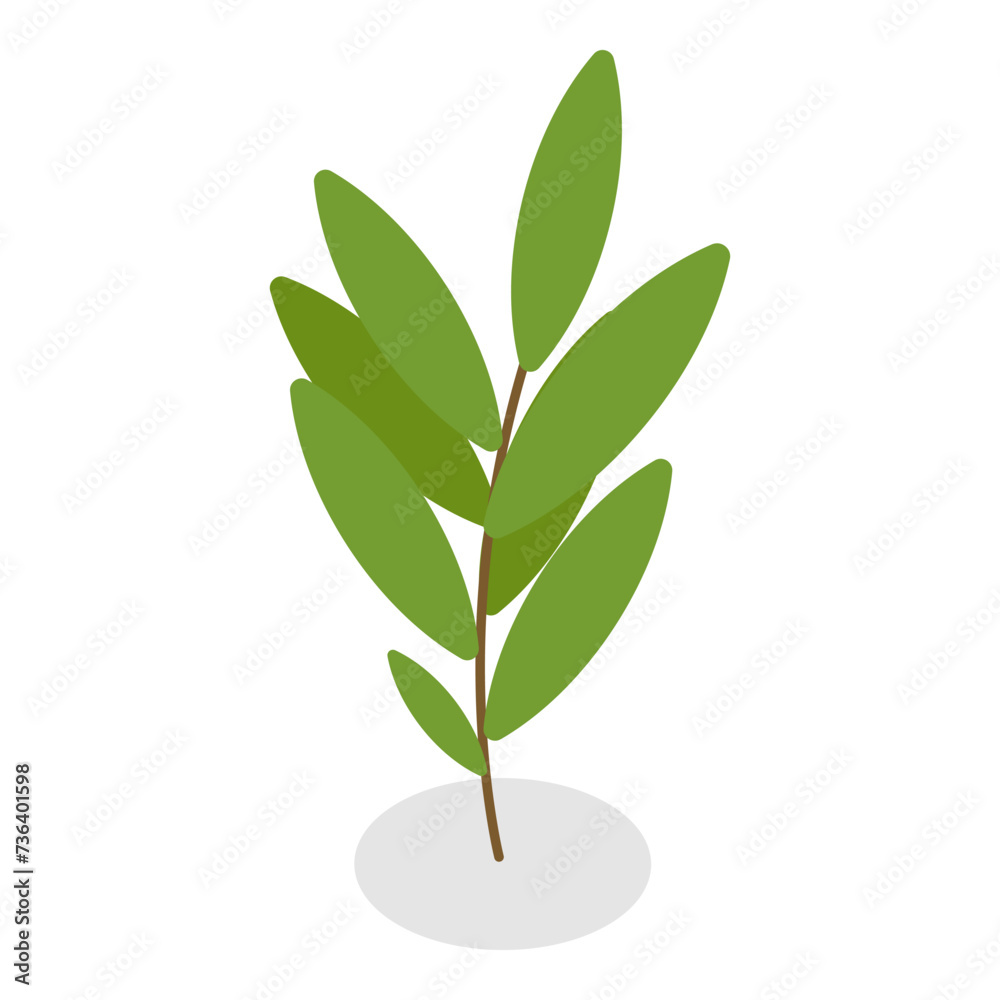 3D Isometric Flat Vector Set of Plants In Pots, Home Indoor Green Decor. Item 9 3D Isometric Flat Vector Set of Plants In Pots, Home Indoor Green Decor. Item 9