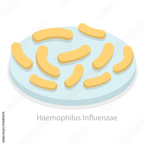 3D Isometric Flat Vector Illustration of Upper Respiratory Tract Infection, Types of Viruses. Item 5