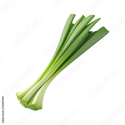 fresh leek isolated on transparent or white background, png