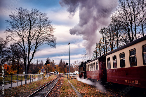 Vintage Steam Locomotive at Station with Autumn Trees