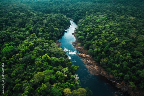 A crystal-clear river flows through a dense, verdant forest, surrounded by towering trees and vibrant vegetation, Bird's eye view of a majestic river flowing through a rainforest, AI Generated