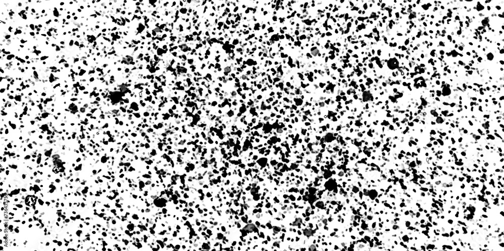 Grunge overlay layer. Abstract black and white vector background. Monochrome vintage surface with dirty pattern in cracks, spots, dots. Old painted wall in dark horror style design