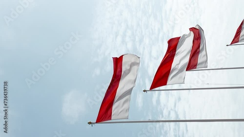 Flags of principality of Monaco in the wind at sunny weather, the port of Hercules, Monte-Carlo