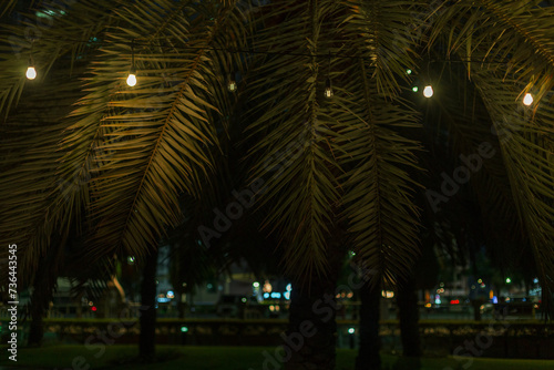 Palm trees with vintage light bulbs on the city beach in Abu Dhabi at night. Summer and party at sea © alones