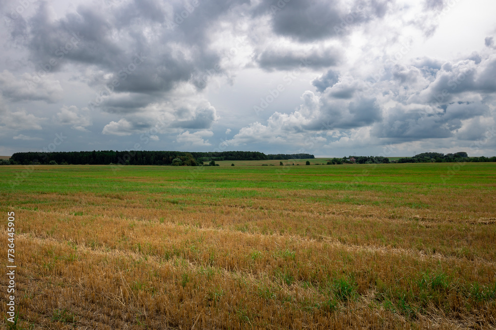rural landscape with field and groves on the horizon, thick clouds over the field rural landscape with field and groves on the horizon, thick clouds over the field