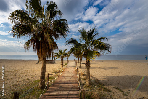 Fototapeta Naklejka Na Ścianę i Meble -  wooden decking with palm trees on the sides leading to the sea on the beach. Mersky landscape