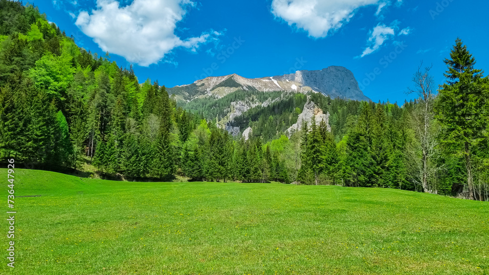 Lush green alpine meadow and forest with panoramic view of majestic mountain peak Foelzstein and Foelzkogel in Hochschwab massif, Styria, Austria, Scenic hiking trail in remote Austrian Alps in summer