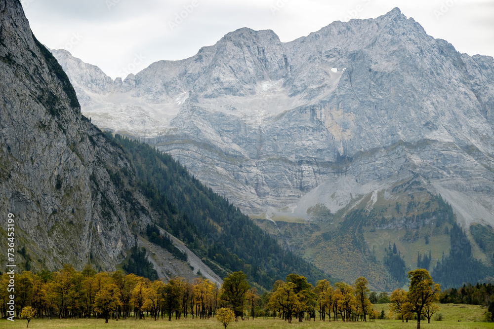 Herbstlandschaft im Karwendelgebirge mit Bergahorn