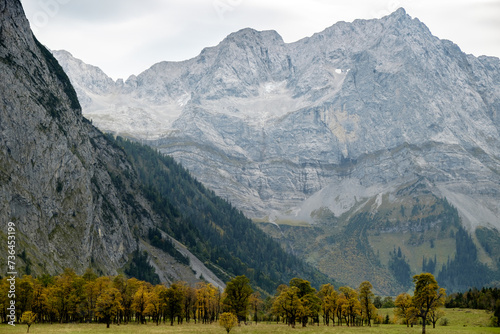 Herbstlandschaft im Karwendelgebirge mit Bergahorn © topics