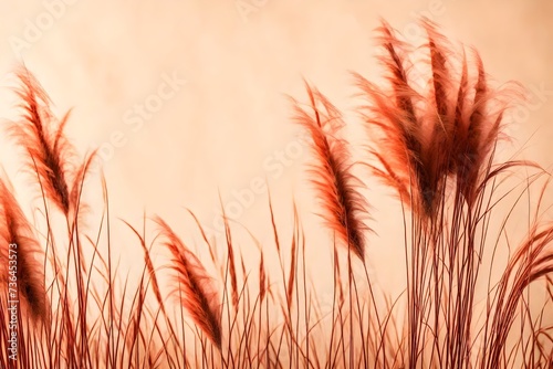 Red dry pampas grass plants in green vase on beige canva abstract background with copy space