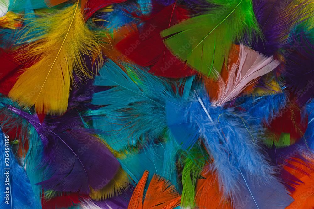 Obraz premium colorful feathers background