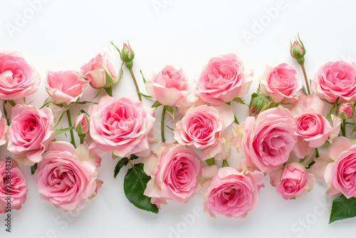 Blush pink roses on white background. Various creamy pink roses flowers and buds layout in center of white background. Top view  flat lay