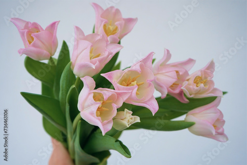 bouquet of pink flowers tulips women   s day holiday