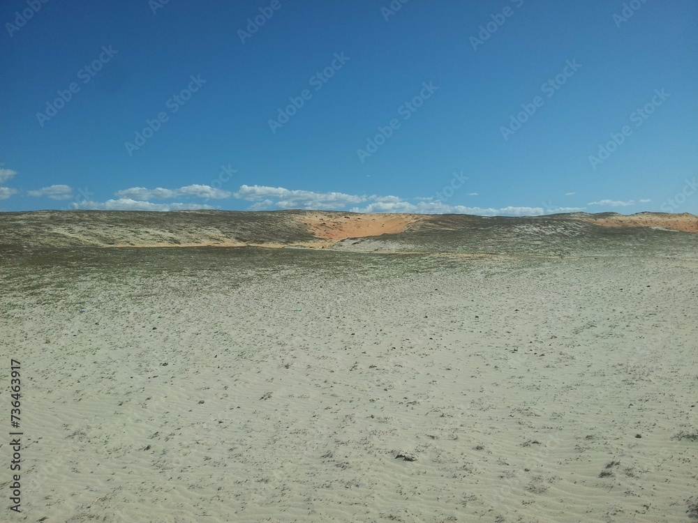 Beach in northeast Brazil with coconut trees and sand, sand dunes ...