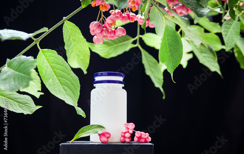 Medicinal oil in a jar with herbs. Euonymus warty, homeopathic berry useful, poisonous plant with red berries. Tops on a black background. Vevey with berries on a black background