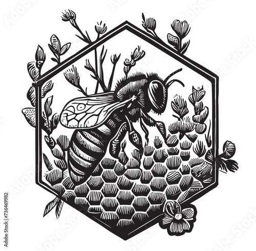 Honey bee vintage vector drawing
