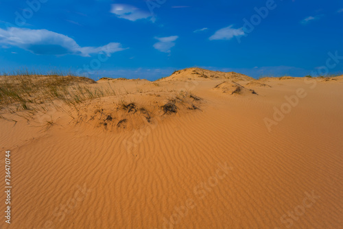 wide sandy desert under blue cloudy sky