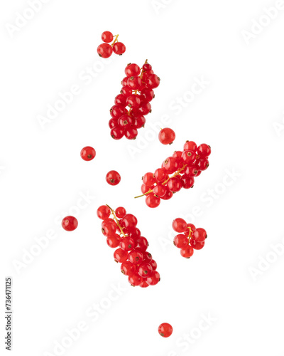 Φωτογραφία Fresh red currant berries falling flying isolated on white background