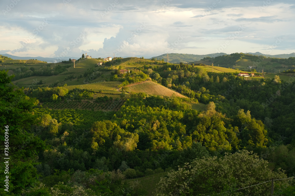Le colline del Monferrato nel comune di Rocchetta Palafea in provincia di Asti, Piemonte, Italia.