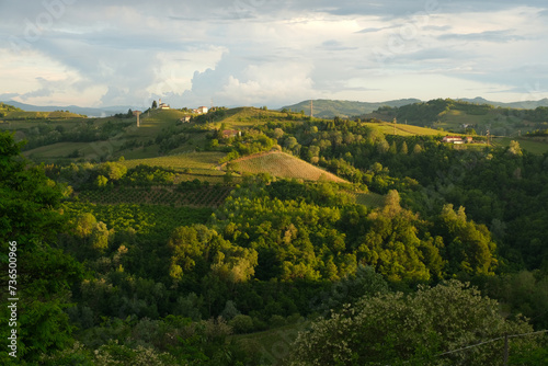 Le colline del Monferrato nel comune di Rocchetta Palafea in provincia di Asti, Piemonte, Italia. photo